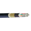 10 mm² 2C Type LS Tinned Copper Armored and Sheathed Drilling Rig & Marine Power/Distribution Cable 600/1kV