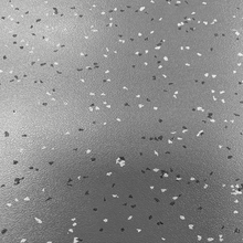 4' x 12' Workers-Delight Foodmaster Anti-fatigue Ergonomic Dry Mats