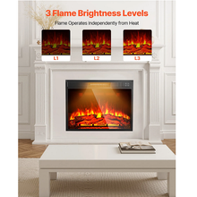 23 Inch Electric Fireplace Insert, Wall Recessed Heater with Remote, 5000BTU, Black