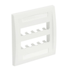 10 Port Mini-Com Executive Series Double Gang Faceplate Mount ABS CFPE10WH-2GY