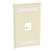 2 Port Mini-Com Classic Series Vertical Faceplate ABS Label Pocket CFPL2EIY