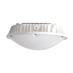 LED CANOPY LIGHT