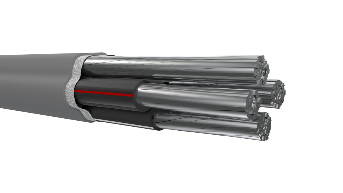 nassaunationalcable.com