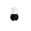 8MP PTZ Camera 12x IP66 Pendant IR NDP-7604-Z12L
