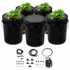 DWC Hydroponic System 5 Gal 5 Buckets Grow Kit for Leafy Vegetables