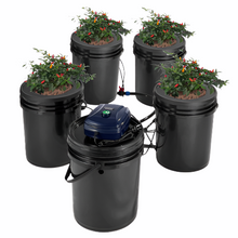 Hydroponic Grow System