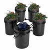 RDWC Hydroponics System 5 Gal 4 Buckets Recirculating Deep Water Culture