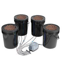 Hydroponics Grow System