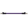 Igus CAT9531002 26 AWG 4P RJ45 A/B Connector Telegärtner TPE Harnessed CAT6 Cable