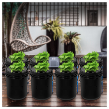 DWC Hydroponic System 5 Gal 8 Buckets Grow Kit for Leafy Vegetables
