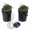 DWC Hydroponic System 5 Gal 2 Buckets Grow Kit for Leafy Vegetables