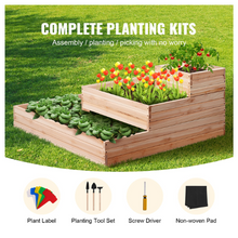 kits for planting