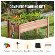 planting kit