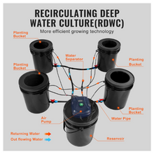 recirculating culture