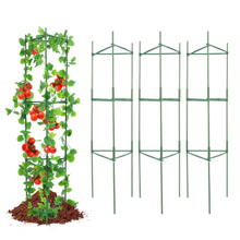 tomato cage