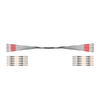 Igus LWL9040061 12Fiber Connector AB-ST incl. Conversion SC 50μm Multimode Gradient Glass Harnessed CFLG.G Optic Cable