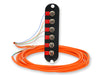 Closet Connector Housing (CCH) Panel ST Connectors Simplex, 6 F, 62.5 µm multimode (OM1) CORNING CCH-CP06-5T-P03KH