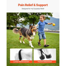 Dog Hip Support Brace Pet Hip Dysplasia Brace Harness Hip Joint Pain Relief D0041
