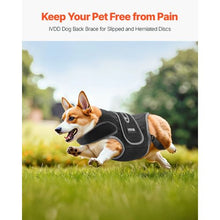 Dog Spine Support Adjustable Harness for Pet's D0053