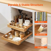 20 X 21 Inch 2 Tier Pull Out Cabinet Organizer Soft Close Slide Out Wood Drawer for Kitchen SKU-5(2 Layers)