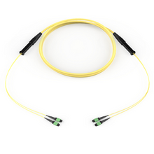 EDGE MTP Trunk Bend-improved Single-mode OS2 to MTP Connector 24 F with 33/33 Inch Legs Pulling Grip One Side 50" Ft G909024GPNDDU050F