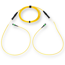 EDGE MTP Trunk Bend-improved Single-mode OS2 to MTP Connector 24 F with 33/33 Inch Legs Pulling Grip One Side 50" Ft G909024GPNDDU050F