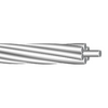 6 Peachbell All Aluminum Conductor AAC