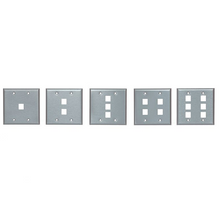 2 Port Single Gang UMJ Stainless Steel Faceplate FP02SS