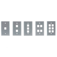 2 Port Single Gang UMJ Stainless Steel Faceplate FP02SS