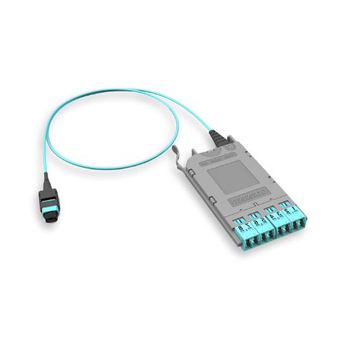 EDGE8 Port Breakout Module 8F LC Duplex to 10 Ft Plenum Interconnect MTP 50 µm Multimode (OM4) Type B ECM8-05E5-QE8B-010F