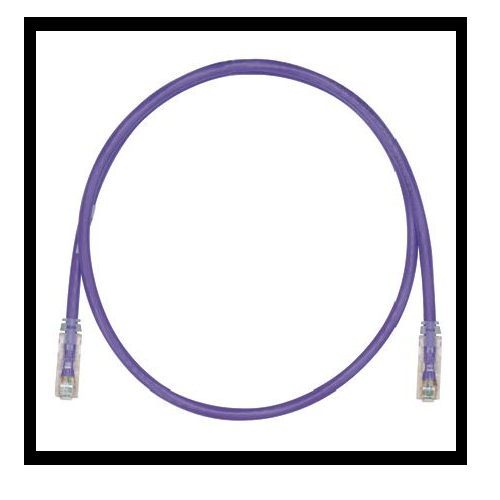 24 AWG Cat 6 UTP Copper 8M Patch Cord Violet UTPSP8MVLY