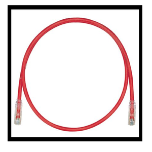 24 AWG Cat 6 UTP Copper 8M Patch Cord Red UTPSP8MRDY