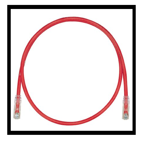 24 AWG Cat 6 UTP Copper 8M Patch Cord Red UTPSP8MRDY