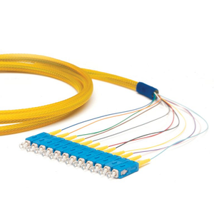 Pigtail Assemblies Single Mode ST 12 Fiber 3 Meters in Length P8ST12-3M
