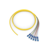 5 Meters Fiber Optic Jumper 12F Standard Pigtail 12F MIC Riser Standard Yellow Jacket 000412R8120005M