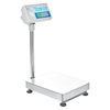 BCT Advanced Label Printing Scales BCT 165a
