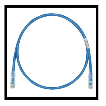 24 AWG Cat 6 UTP Copper 8M Patch Cord Blue UTPSP8MBUY