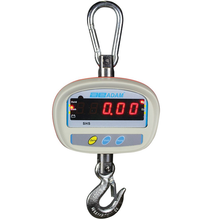 SHS Crane Scales SHS 100a