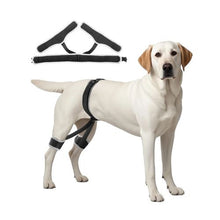 Dog Hip Support Brace Pet Hip Dysplasia Brace Harness Hip Joint Pain Relief D0041