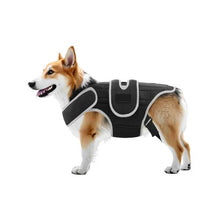 Dog Spine Support Adjustable Harness for Pet's D0053