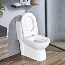 One-Piece Elongated Toilet 1.1/1.6 GPF Easy-Clean Skirted 10" Rough-In (White & Silver)
