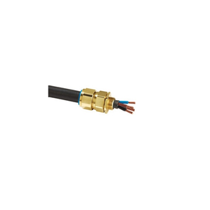 CW Brass Gland Steel/Aluminium Locknut Armoured Rubber Sheathed Cable