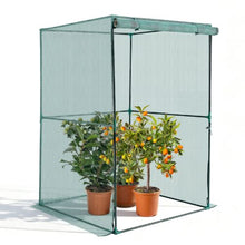 3.9 x 3.9 x 5.9 ft Crop Cage with Zippered Door for Plant Protection