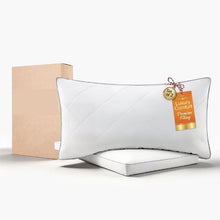 2 Pack King Bed Pillows for Sleeping Down Alternative Hotel Pillows (White)