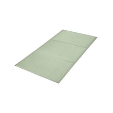 Japanese Tatami Mat Twin Size Foldable Floor Mattress Natural Rush Grass Futon with Non-Slip Backing for Sleeping & Yoga