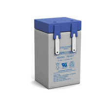 6V 2Ah F1 Terminal SLA Rechargeable Battery PS-621 F1 (Pack of 25)