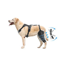Adjustable Dog Leg Support Brace Pain Relief for Left Leg D0035