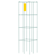1 cage_