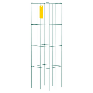 1 cage_