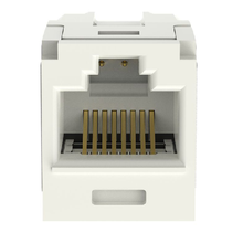 1 Port Mini-Com Cat6A 10Gig UTP RJ45 Coupler Module Polycarbonate CC6X88IW